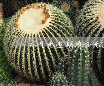 征信无逾期网贷无逾期 征信无逾期网贷无逾期