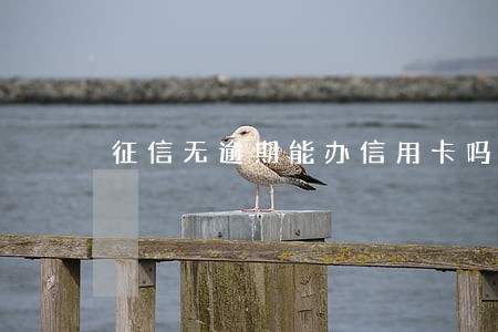 征信无逾期能办信用卡吗