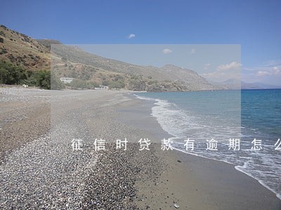 征信时贷款有逾期怎么办 征信时贷款有逾期怎么办