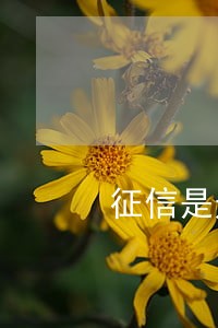 征信是连续逾期3次 征信是连续逾期3次