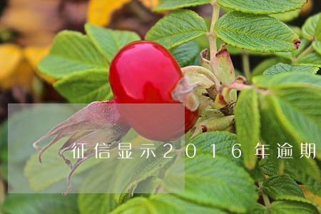 征信显示2016年逾期1元 征信显示2016年逾期1元