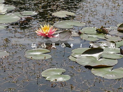 征信显示417逾期 征信显示417逾期