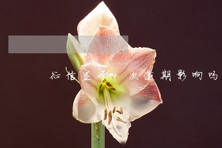 征信显示4次逾期影响吗 征信显示4次逾期影响吗