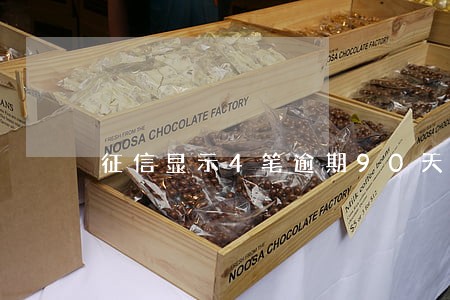 征信显示4笔逾期90天以上 征信显示4笔逾期90天以上