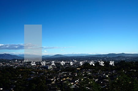 征信显示55次逾期