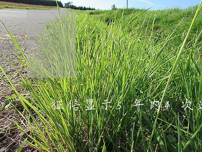 征信显示5年内4次逾期 征信显示5年内4次逾期