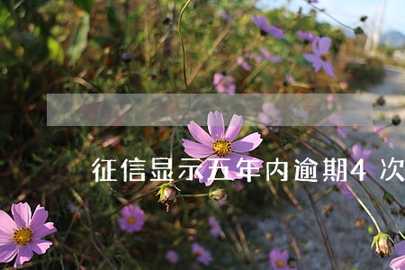 征信显示五年内逾期4次 征信显示五年内逾期4次