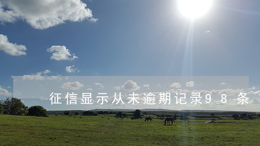 征信显示从未逾期记录98条