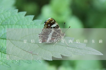 征信显示几年内信用卡逾期 征信显示几年内信用卡逾期