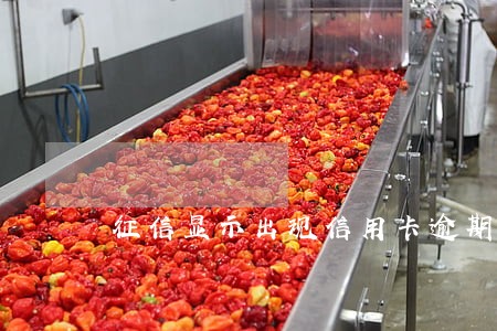 征信显示出现信用卡逾期 征信显示出现信用卡逾期