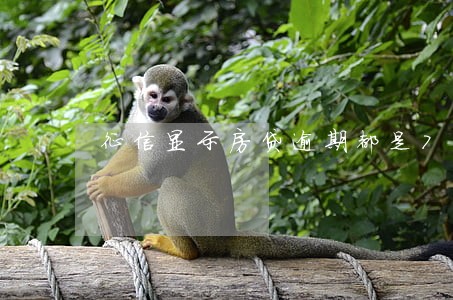 征信显示房贷逾期都是7