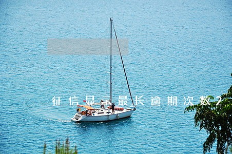 征信显示最长逾期次数2月 征信显示最长逾期次数2月