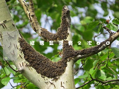 征信显示有2次60天逾期 征信显示有2次60天逾期