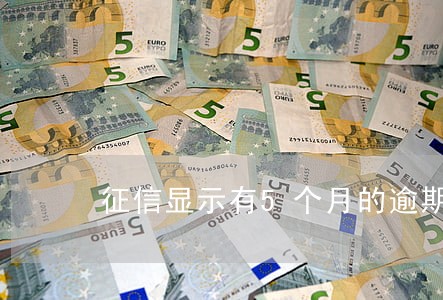 征信显示有5个月的逾期 征信显示有5个月的逾期