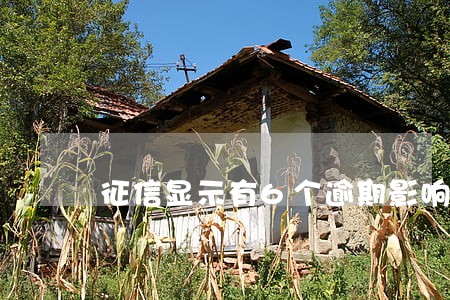 征信显示有6个逾期影响买车吗