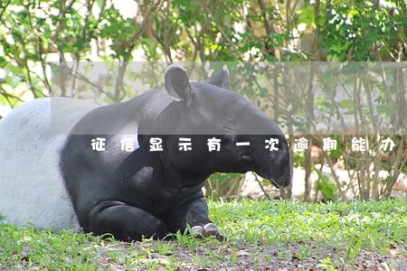 征信显示有一次逾期能办信用卡吗