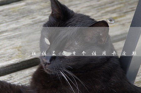 征信显示有个信用卡逾期了 征信显示有个信用卡逾期了