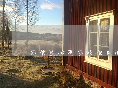 征信显示有贷款但是没有逾期 征信显示有贷款但是没有逾期