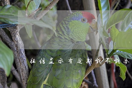 征信显示有逾期能不能办信用卡 征信显示有逾期能不能办信用卡