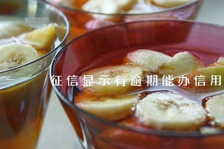 征信显示有逾期能办信用贷款吗 征信显示有逾期能办信用贷款吗