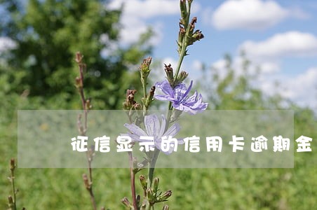 征信显示的信用卡逾期金额 征信显示的信用卡逾期金额