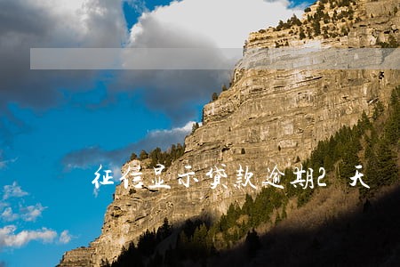 征信显示贷款逾期2天 征信显示贷款逾期2天