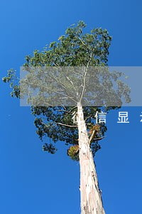征信显示贷款逾期7个月