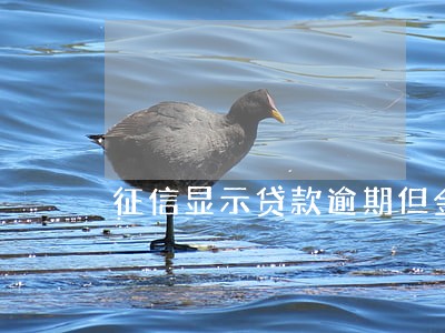 征信显示贷款逾期但金额为零 征信显示贷款逾期但金额为零