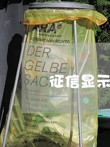 征信显示连续15个月逾期