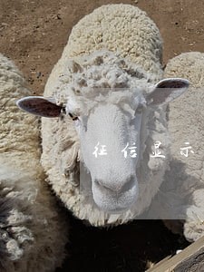 征信显示逾期1 征信显示逾期1