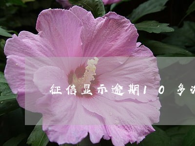 征信显示逾期10多次 征信显示逾期10多次