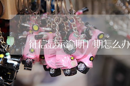 征信显示逾期1期怎么办 征信显示逾期1期怎么办