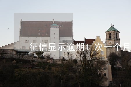 征信显示逾期1次一个月 征信显示逾期1次一个月