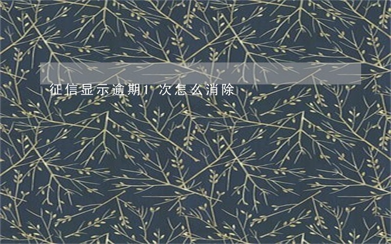 征信显示逾期1次怎么消除 征信显示逾期1次怎么消除