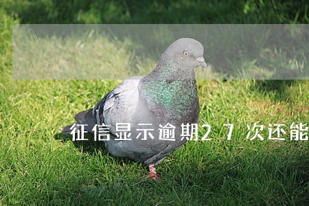 征信显示逾期27次还能贷款么 征信显示逾期27次还能贷款么