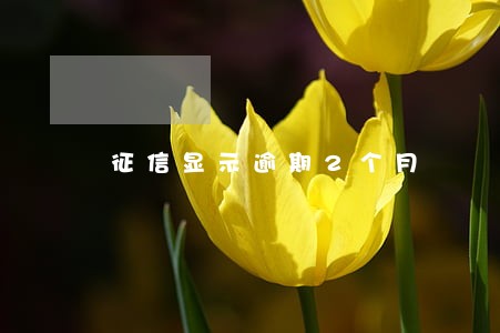 征信显示逾期2个月 征信显示逾期2个月