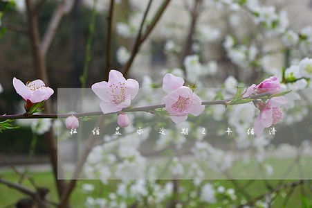 征信显示逾期2年结清 征信显示逾期2年结清