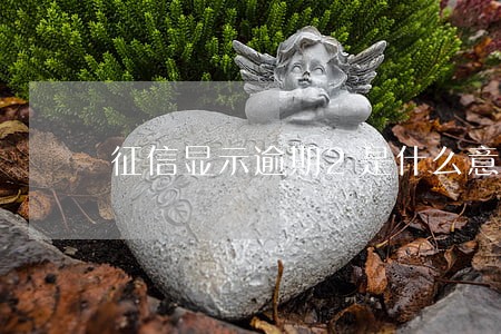 征信显示逾期2是什么意思 征信显示逾期2是什么意思