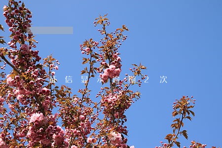 征信显示逾期2次 征信显示逾期2次