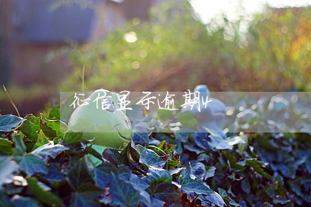 征信显示逾期4 征信显示逾期4