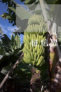 征信显示逾期58个月 征信显示逾期58个月