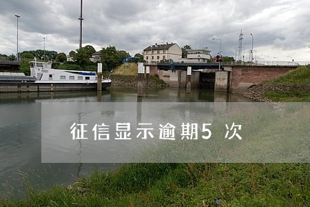 征信显示逾期5次 征信显示逾期5次