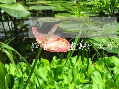 征信显示逾期5次可以贷款吗 征信显示逾期5次可以贷款吗