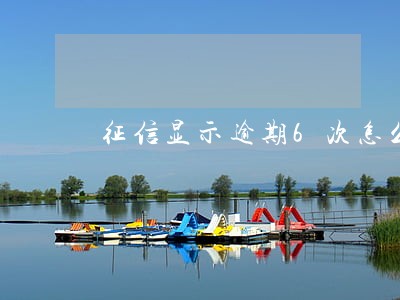 征信显示逾期6次怎么办