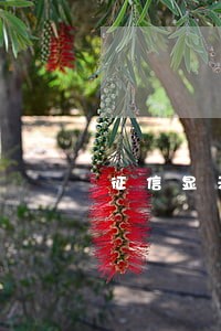 征信显示逾期7个月 征信显示逾期7个月