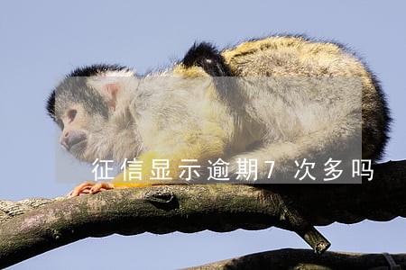 征信显示逾期7次多吗 征信显示逾期7次多吗