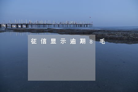 征信显示逾期8毛 征信显示逾期8毛