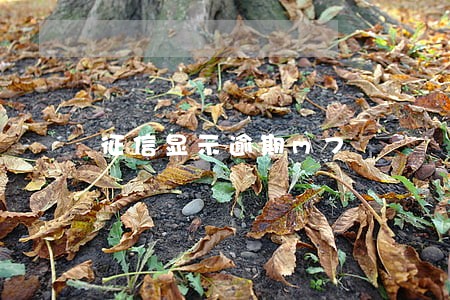 征信显示逾期m7 征信显示逾期m7