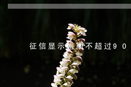 征信显示逾期不超过90天 征信显示逾期不超过90天