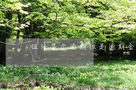 征信显示逾期但是逾期金额为0
